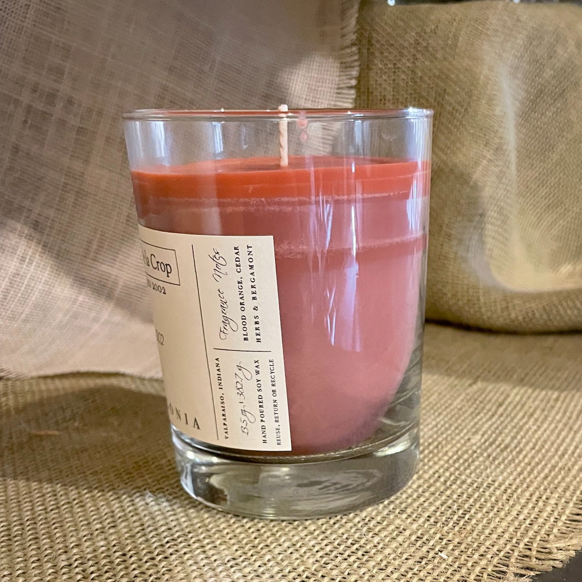 Palagonia Blood Orange Soy Candle, 13.5 oz